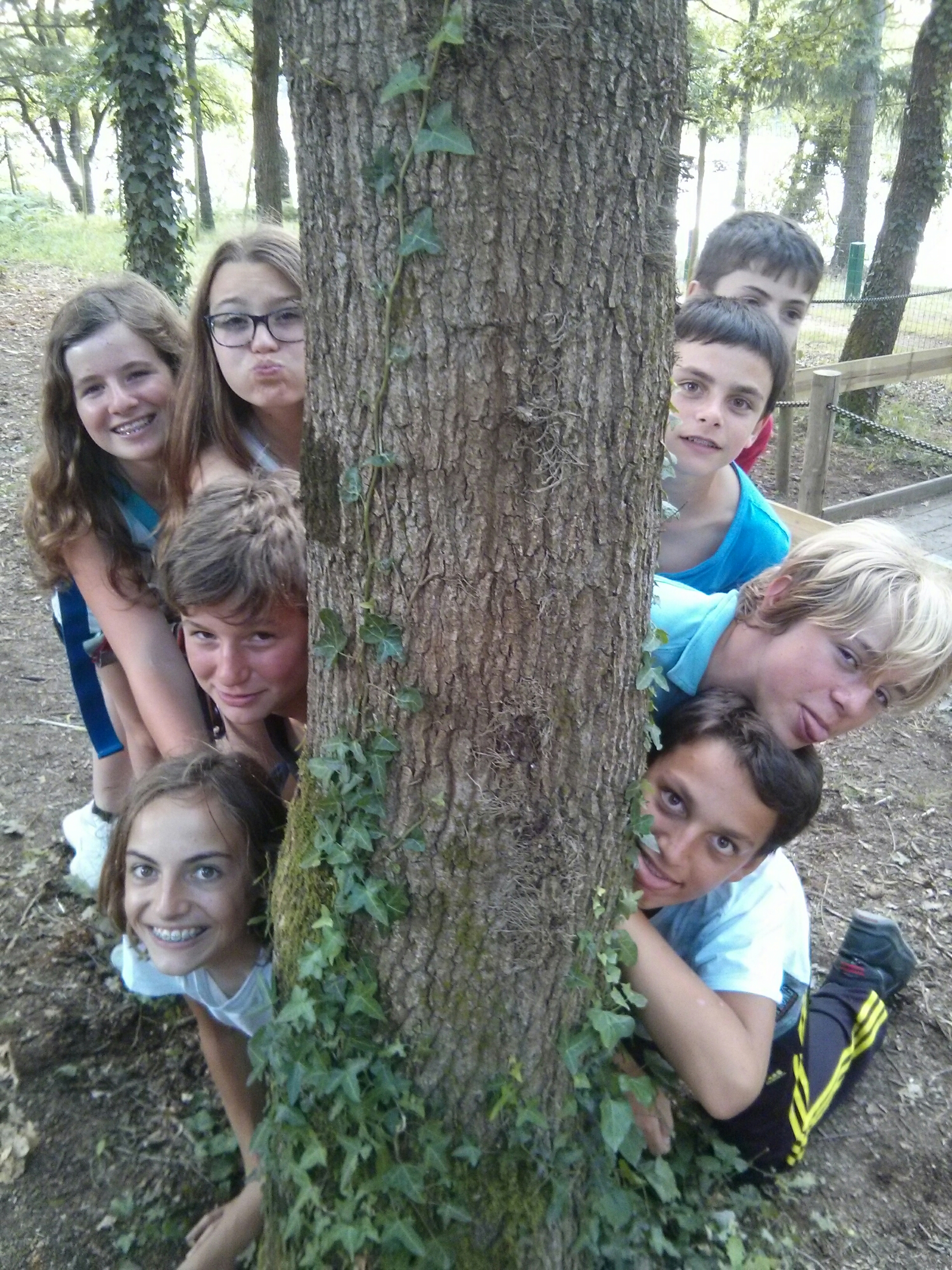 wp-1406064167158 image